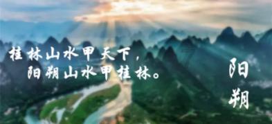 为什么广西建筑模板更倾向于采用桉木材质?